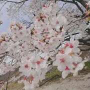 ヒメ日記 2026/04/09 15:20 投稿 くれあ S級鑑定団