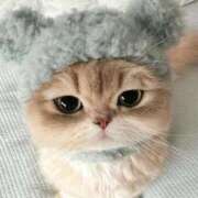 ヒメ日記 2026/01/16 19:16 投稿 あずさ マネキン 名駅店