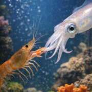 ヒメ日記 2026/02/20 21:51 投稿 まい 昭和生まれの美人