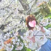 ヒメ日記 2026/04/05 13:15 投稿 ユリナ MEGA PALACE(メガパレス）