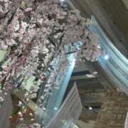 ヒメ日記 2026/04/11 20:12 投稿 やや 萌えカワ