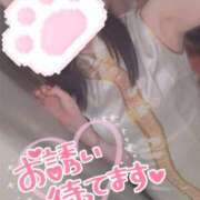 ヒメ日記 2026/01/19 16:26 投稿 ゆい マネキン 名駅店