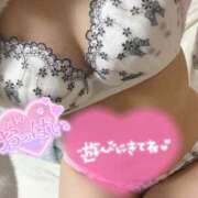 ヒメ日記 2026/02/17 18:12 投稿 月波（つきは） 人妻の蜜