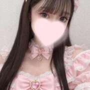 ヒメ日記 2026/01/17 10:06 投稿 桜 うさぎ Canx2 谷九日本橋店