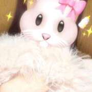 ヒメ日記 2026/01/21 11:02 投稿 桜 うさぎ Canx2 谷九日本橋店