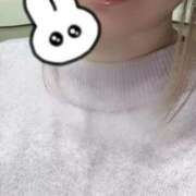 ヒメ日記 2026/01/26 10:10 投稿 ことり スピードエコ天王寺店