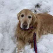 ヒメ日記 2026/03/03 15:37 投稿 八雲 紅 こあくまな熟女たち 池袋店(KOAKUMAグループ)