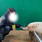 ひかる ひかる（スピード梅田店） スピード梅田店