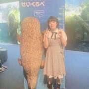 ヒメ日記 2026/01/15 12:50 投稿 ふゆね 電車ごっこ