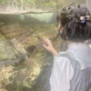 ヒメ日記 2026/01/17 19:50 投稿 ふゆね 電車ごっこ