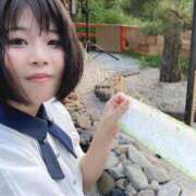 ヒメ日記 2026/01/19 09:40 投稿 ふゆね 電車ごっこ