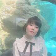 ヒメ日記 2026/01/19 12:14 投稿 ふゆね 電車ごっこ