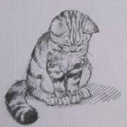 ヒメ日記 2026/02/26 19:15 投稿 惑星つき【業界未経験】 素人専門キラキラ学園