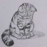 ヒメ日記 2026/03/14 01:25 投稿 惑星つき【業界未経験】 素人専門キラキラ学園