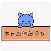 ヒメ日記 2026/01/19 09:08 投稿 フカ　鱶 女の子市場