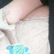 フカ　鱶 本日出荷!?🦈 女の子市場