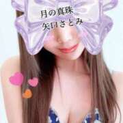 ヒメ日記 2026/03/30 10:30 投稿 矢口さとみ 月の真珠-新宿-