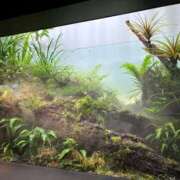 ヒメ日記 2026/02/10 23:09 投稿 かな SOAPLAND COSPA SAPPORO