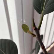 ヒメ日記 2026/03/15 17:49 投稿 かな SOAPLAND COSPA SAPPORO