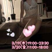 ヒメ日記 2026/03/20 00:29 投稿 涼瀬はるな ワイフの楽園