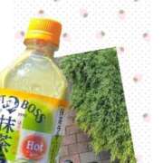 ヒメ日記 2026/01/09 12:51 投稿 加藤あいり 渋谷エオス