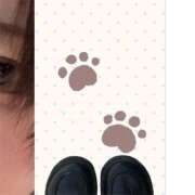 ヒメ日記 2026/01/14 16:28 投稿 加藤あいり 渋谷エオス