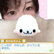 ヒメ日記 2026/01/15 18:20 投稿 加藤あいり 渋谷エオス