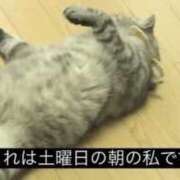 加藤あいり 猫になろうかニャ 渋谷エオス