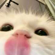 ヒメ日記 2026/01/22 22:40 投稿 加藤あいり 渋谷エオス