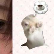 ヒメ日記 2026/01/24 21:50 投稿 加藤あいり 渋谷エオス