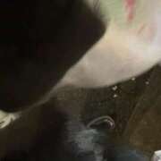 ヒメ日記 2026/04/10 22:20 投稿 加藤あいり 渋谷エオス