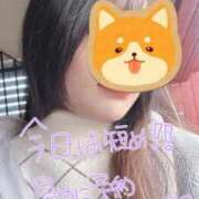 ねこ ねこいるよ〜🐾 手こき＆オナクラ 大阪はまちゃん