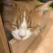 ヒメ日記 2026/02/19 17:28 投稿 ☆まどか☆ ◆プラウディア◆AAA級素人娘在籍店