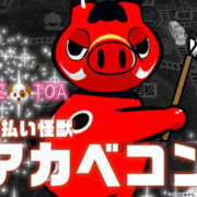 ヒメ日記 2026/03/14 00:05 投稿 トア LOVE(小名浜)