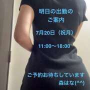 ヒメ日記 2026/07/19 19:22 投稿 森はな 癒されるワイフ