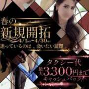 ヒメ日記 2026/04/03 06:10 投稿 れな 谷町人妻ゴールデン倶楽部