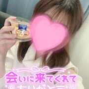 ヒメ日記 2026/02/15 11:28 投稿 りま 横浜関内人妻城