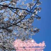 ヒメ日記 2026/04/07 09:38 投稿 りま 横浜関内人妻城