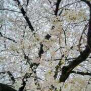 ヒメ日記 2026/03/14 14:02 投稿 みづき 熟女総本店