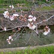 ヒメ日記 2026/03/25 12:22 投稿 みづき 熟女総本店