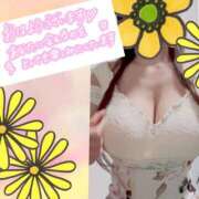 ヒメ日記 2026/01/20 08:32 投稿 愛川 ねね SUMIRE