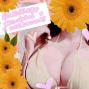 ヒメ日記 2026/02/12 11:29 投稿 愛川 ねね SUMIRE