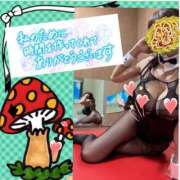 ヒメ日記 2026/02/18 23:56 投稿 愛川 ねね SUMIRE