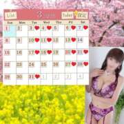 ヒメ日記 2026/02/24 07:45 投稿 愛川 ねね SUMIRE