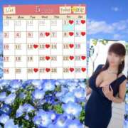 ヒメ日記 2026/04/30 22:31 投稿 愛川 ねね SUMIRE