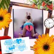 ヒメ日記 2026/05/12 08:55 投稿 愛川 ねね SUMIRE