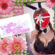ヒメ日記 2026/05/29 08:04 投稿 愛川 ねね SUMIRE