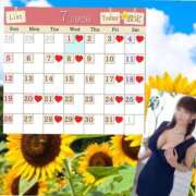 ヒメ日記 2026/06/19 22:11 投稿 愛川 ねね SUMIRE