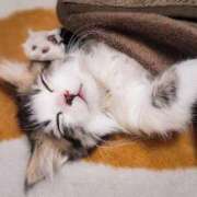 みか お礼🩷 全裸SUPERプレミアム