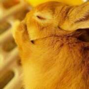 みか お礼💙 全裸SUPERプレミアム